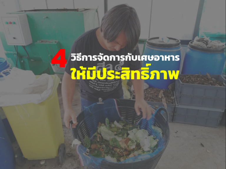 rooftop ปลูกผักบนดาดฟ้า ปลูกผักกลางเมือง food waste เปลี่ยนเศษอาหารให้เป็นปุ๋ย วิธีปรุงดิน วิธีปลูกผัก ผัก ปลอด สาร พิษ wastegetable rooftop farming ลดโลกร้อน รักษ์โลกrooftop ปลูกผักบนดาดฟ้า ปลูกผักกลางเมือง food waste เปลี่ยนเศษอาหารให้เป็นปุ๋ย วิธีปรุงดิน วิธีปลูกผัก ผัก ปลอด สาร พิษ wastegetable rooftop farming ลดโลกร้อน รักษ์โลก