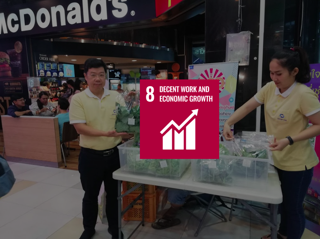 Rooftop ปลูกผักบนดาดฟ้า ปลูกผักกลางเมือง food waste เปลี่ยนเศษอาหารให้เป็นปุ๋ย วิธีปรุงดิน วิธีปลูกผัก ผัก ปลอด สาร พิษ wastegetable rooftop farming ลดโลกร้อน รักษ์โลก ผักไฮโดรโปนิกส์ ปรุงดิน เปลี่ยนดินเสียให้เป็นดินดี มือร้อน ปลูกผัก แปลงผักบนดาดฟ้า แปลงเศษอาหารให้เป็นปุ๋ย ฟาร์มบนดาดฟ้า